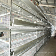 Matériel de production de volaille cage de poulet à plusieurs niveaux couche à vendre